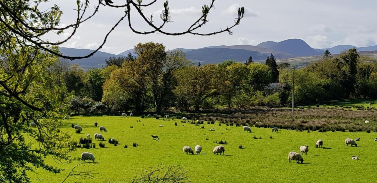 Mountain View Bed & Breakfast, Kenmare, Co. Kerry, Ireland Eksteriør bilde