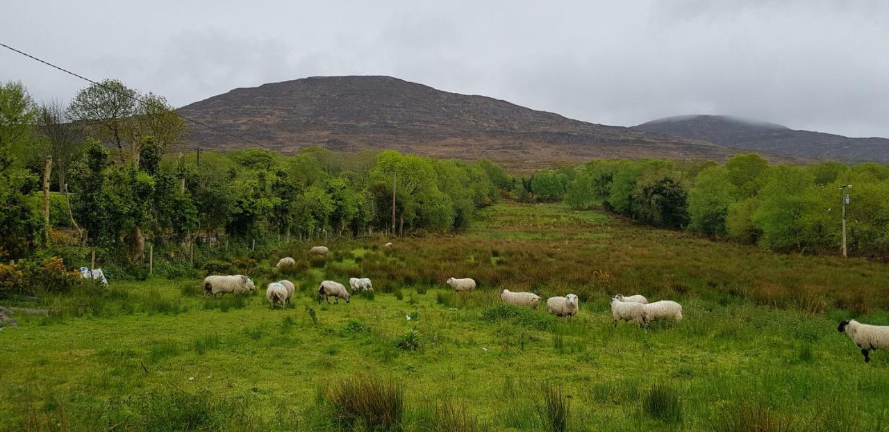 Mountain View Bed & Breakfast, Kenmare, Co. Kerry, Ireland Eksteriør bilde